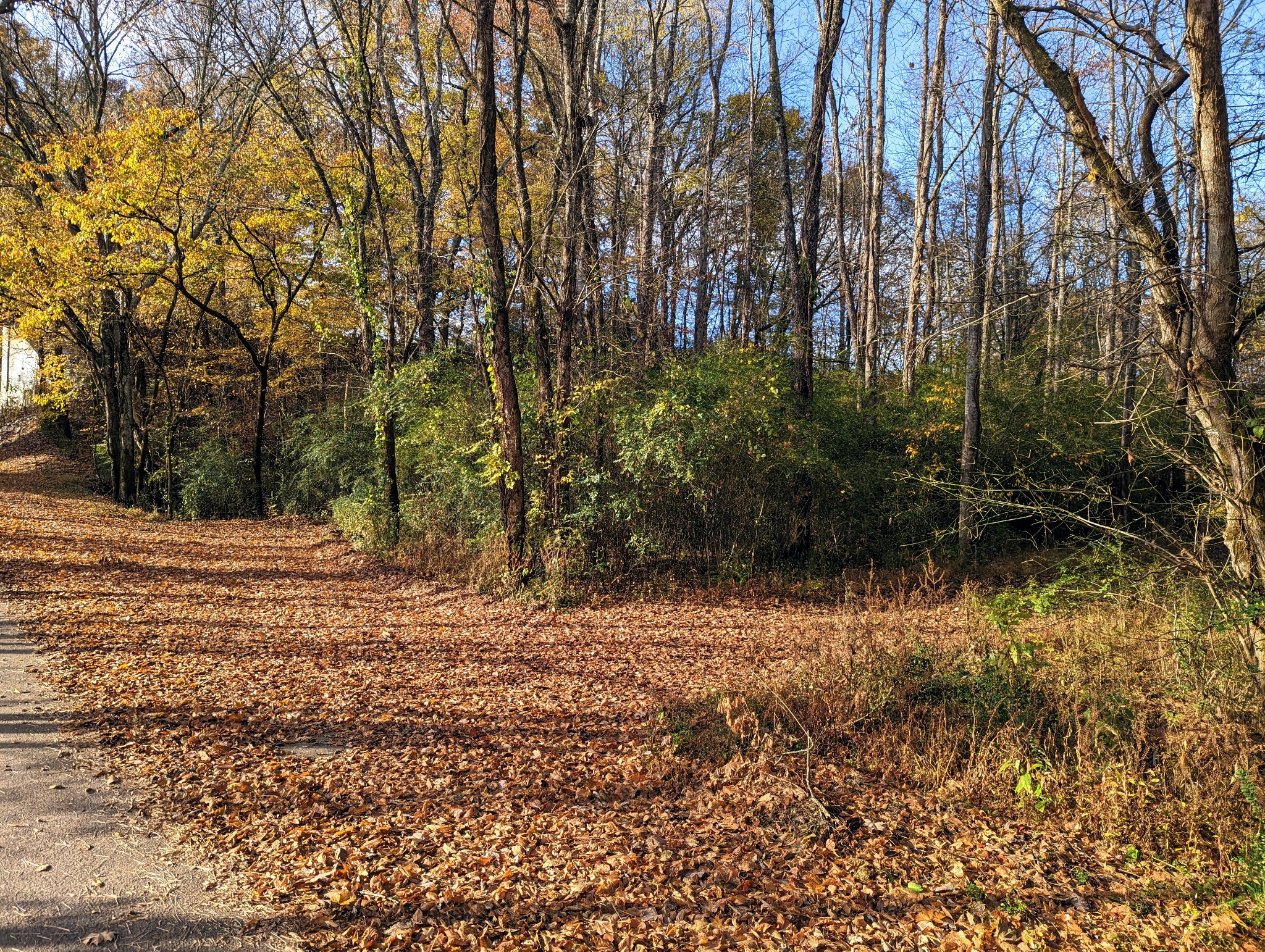 0 Rogers Road Centerville, TN 37033 - Photo 2 of 2 Gallery Image 2