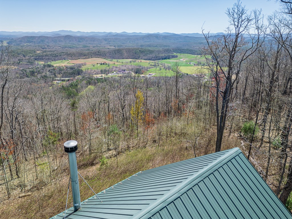 310 Treehouse Trail Murphy, NC 28906 - Photo 9 of 63 Gallery Image 9