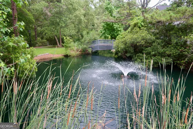 a view of a yard with plants and large trees