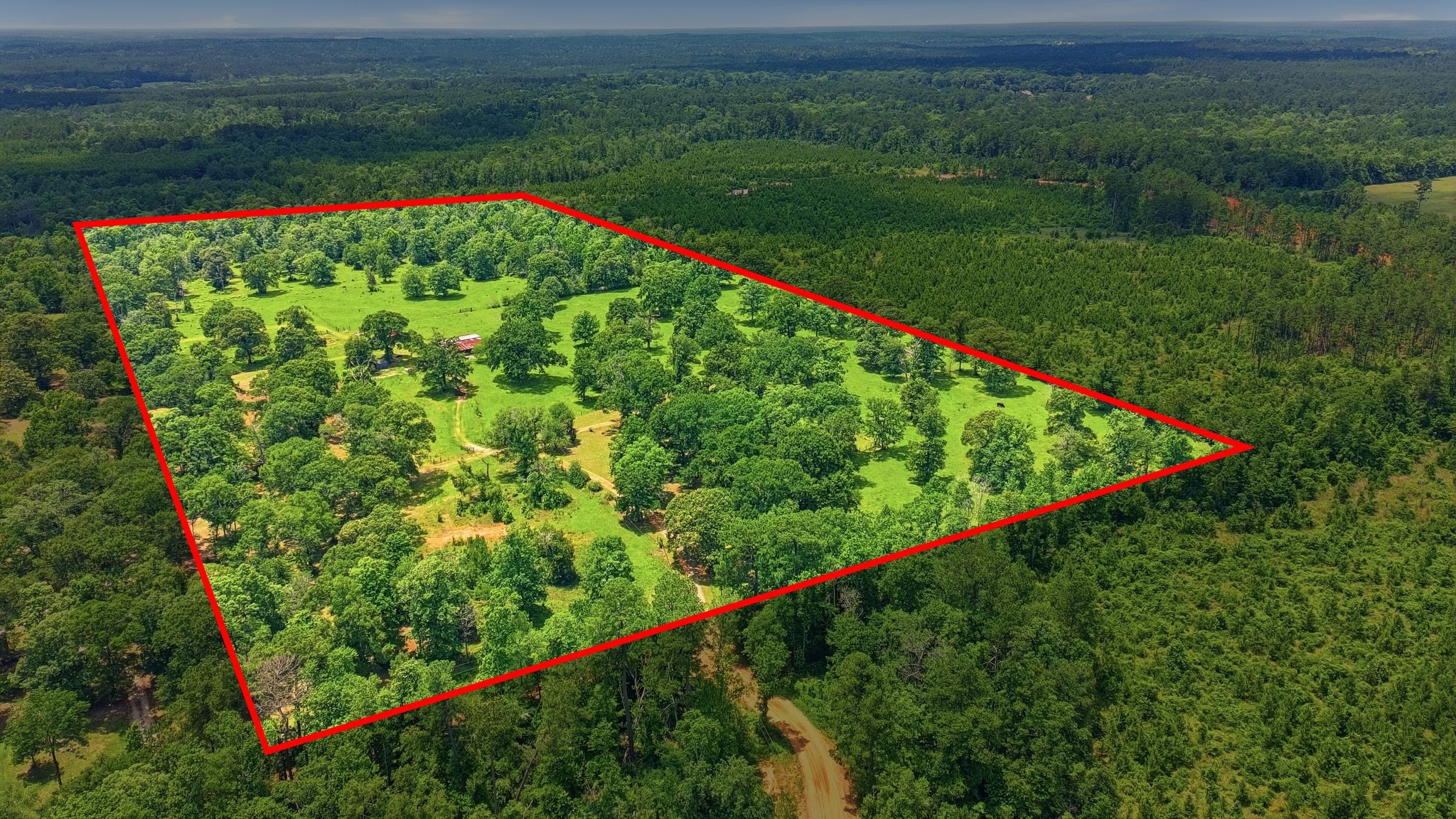 280 McGehee Road Willis, TX 77378 - Photo 49 of 50