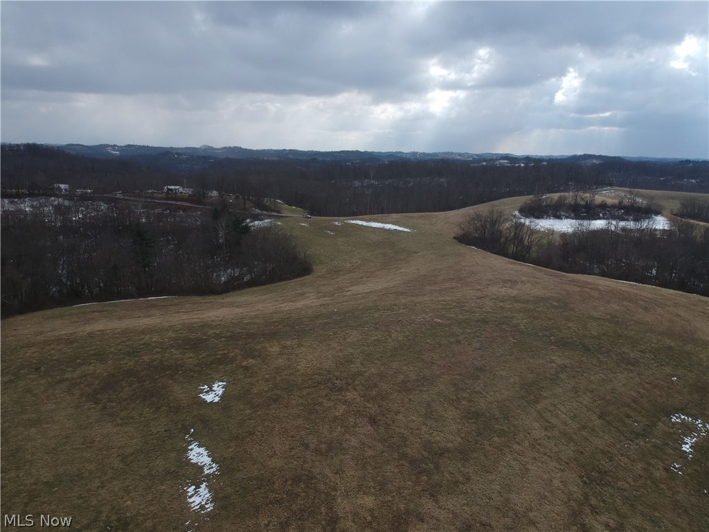 Lot A Sykes Ridge Road Clarington, OH 43915 - Photo 4 of 5