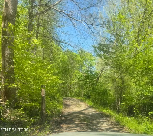 $99,000 | Anna Lane, Clairfield, TN 37715