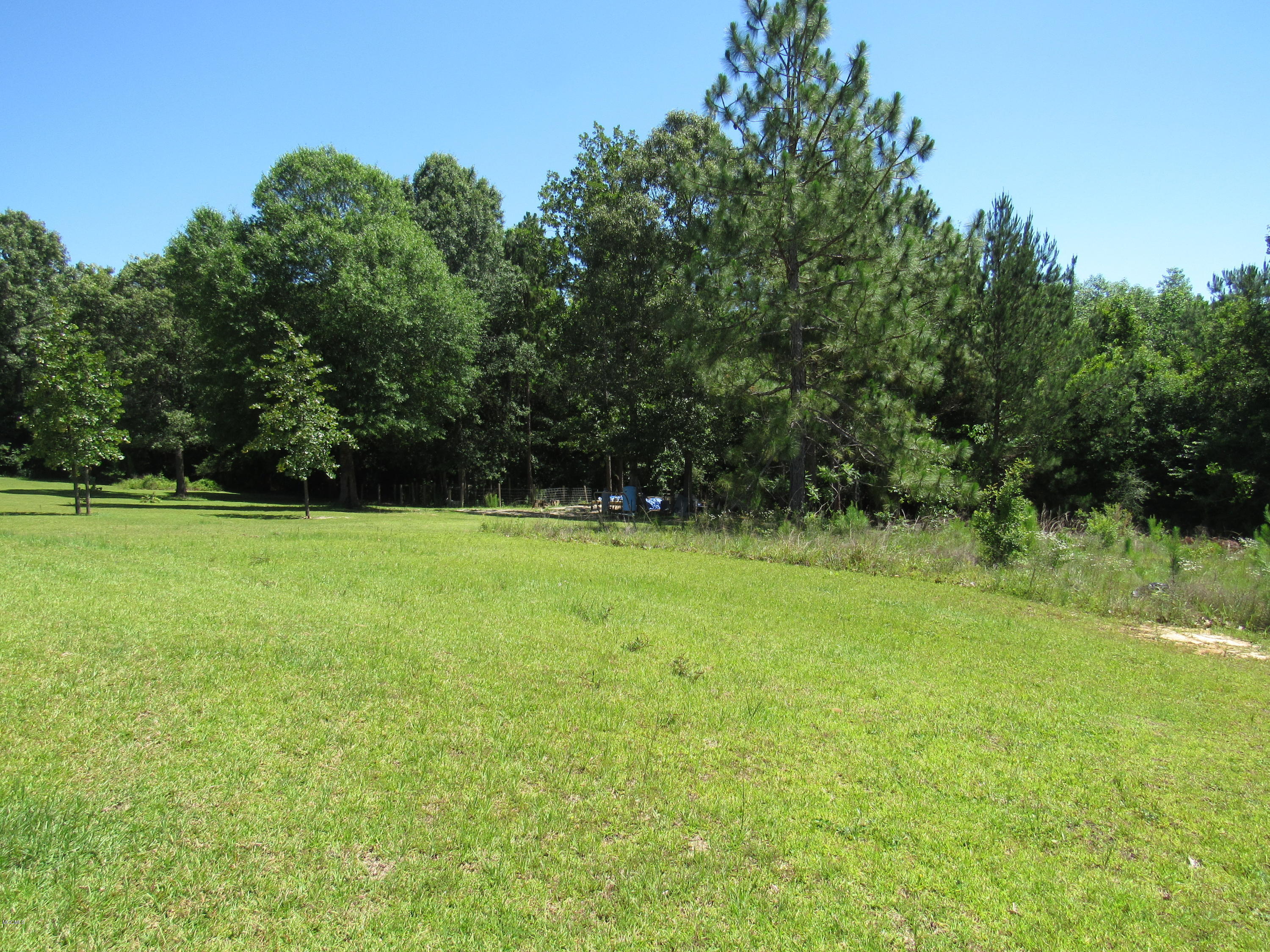 14 H K Lewis Road Carriere, MS 39426 - Photo 19 of 20 Backyard view 1