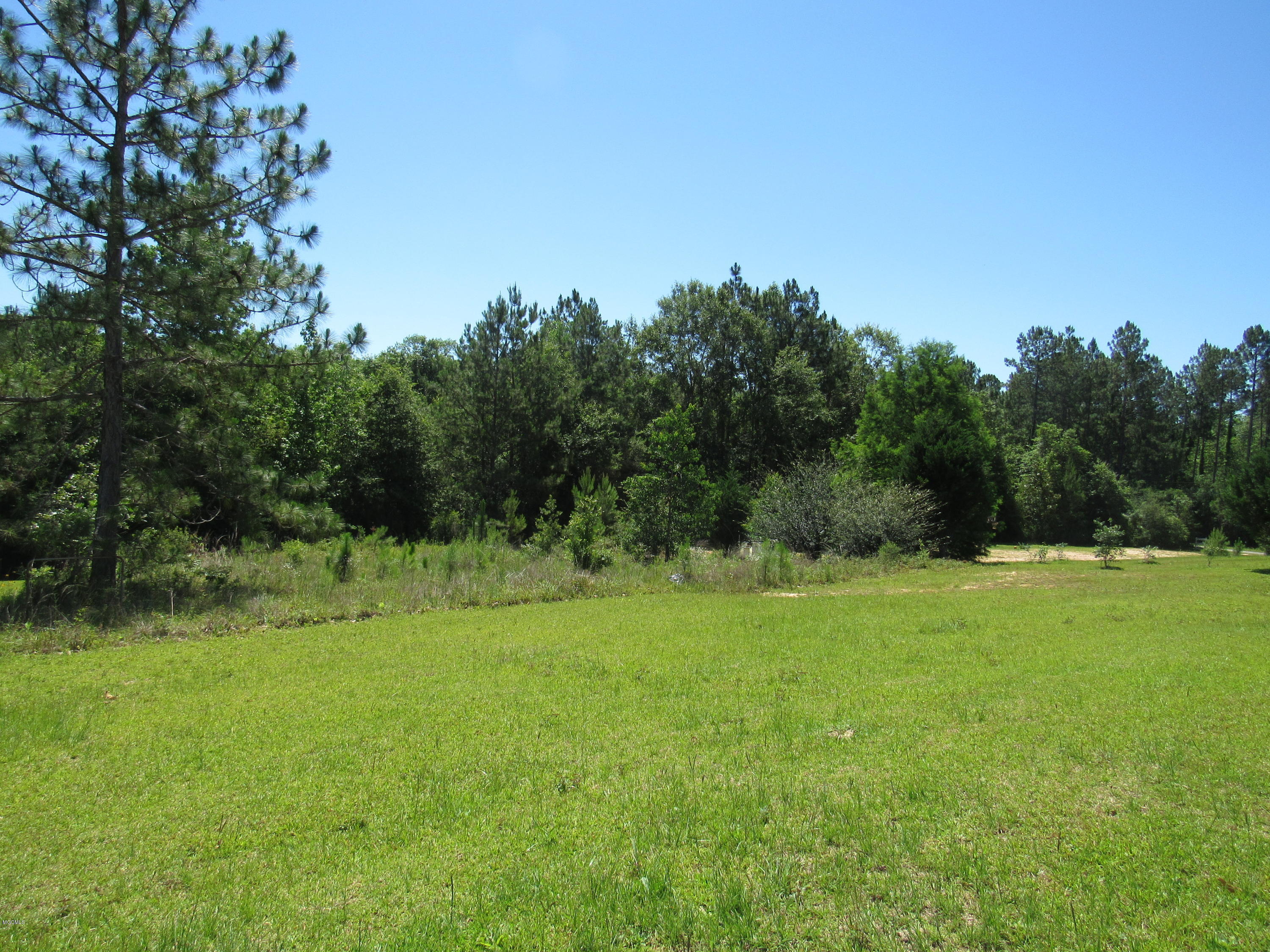 14 H K Lewis Road Carriere, MS 39426 - Photo 20 of 20 Backyard view 2