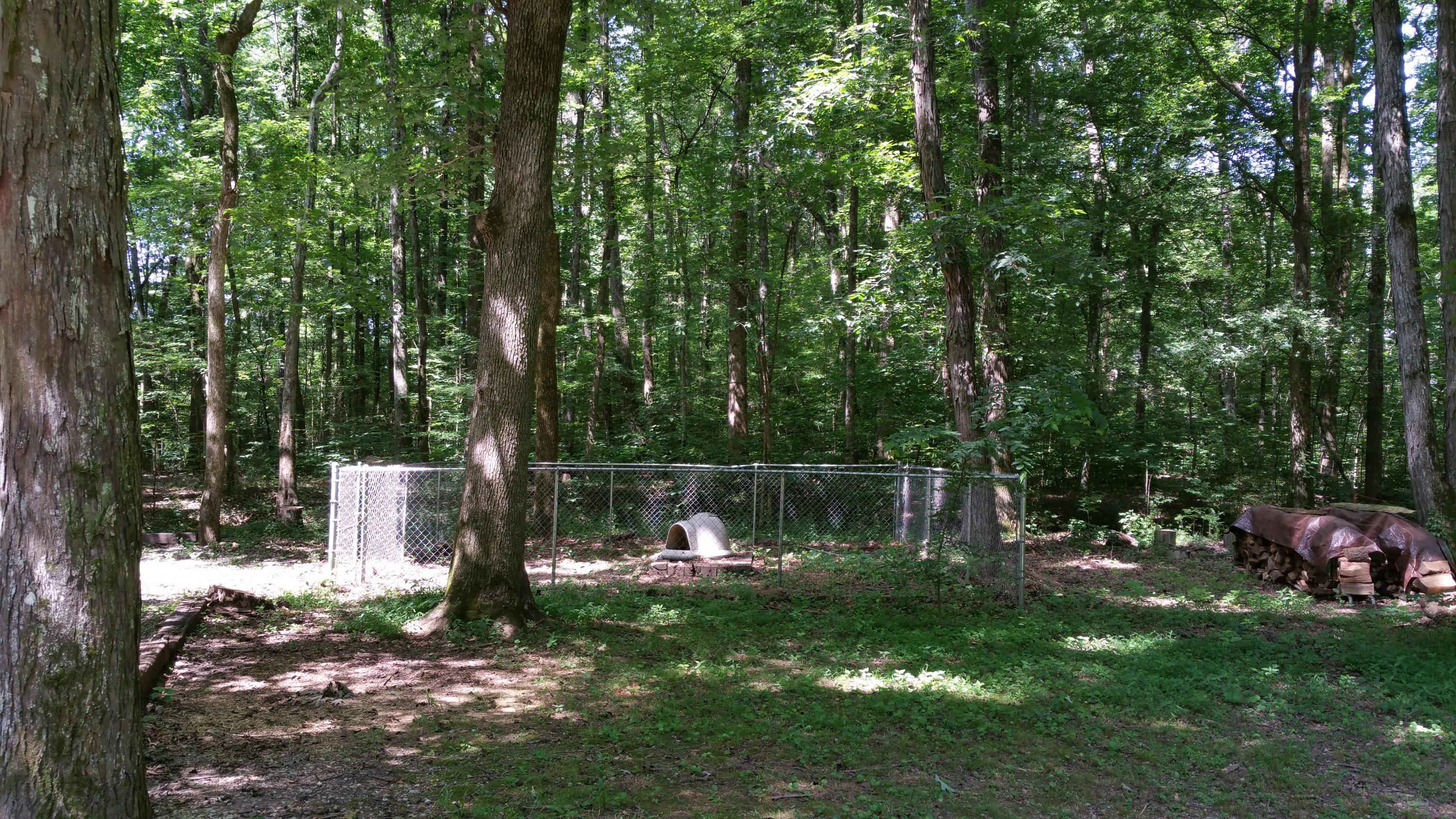 324 Pitts Road Hixson, TN 37343 - Photo 7 of 39 20150615_111635
