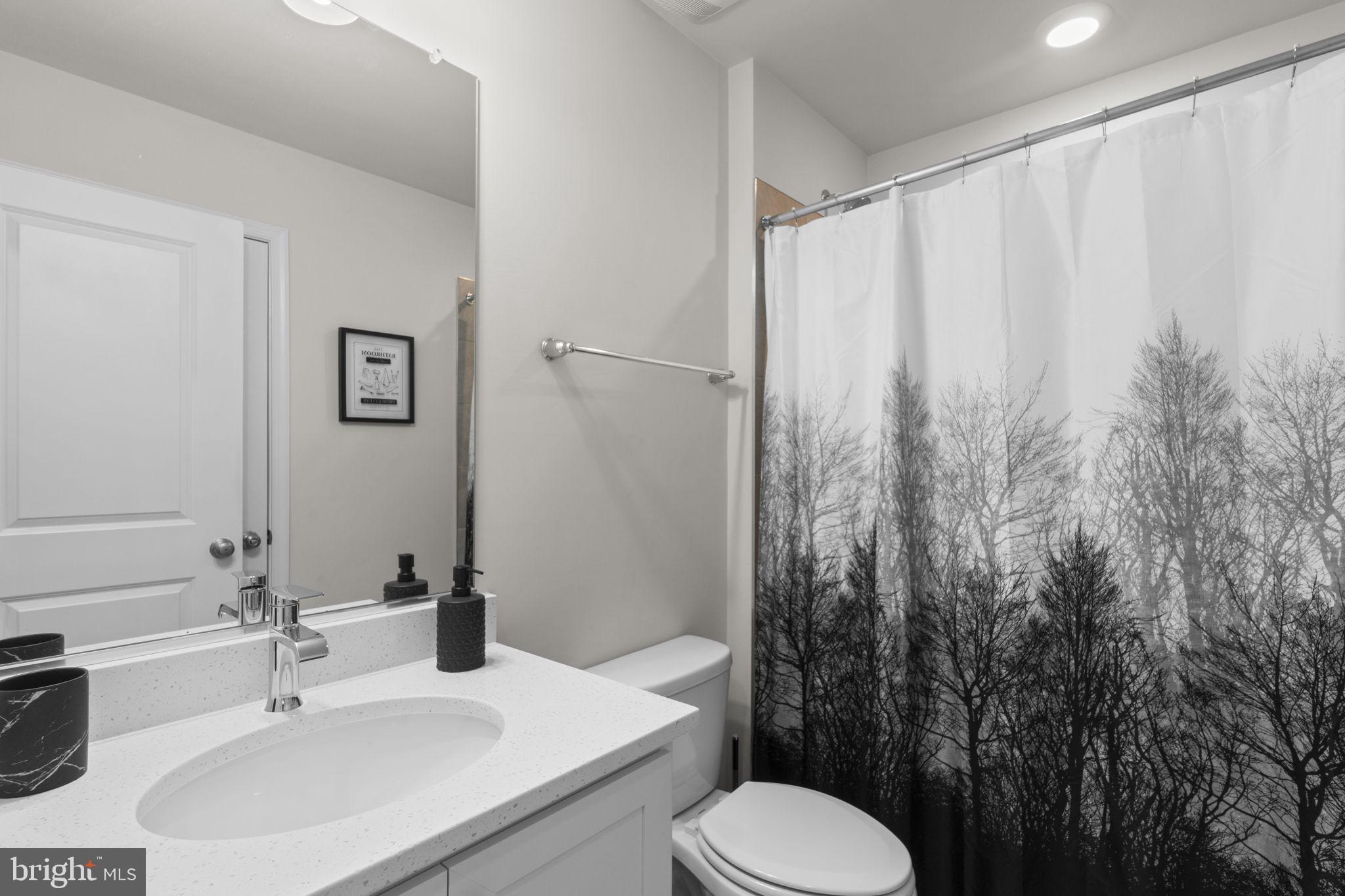 417 Union Street Frederick, MD 21701 - Photo 25 of 35 Serene bathroom with nature-inspired decor.