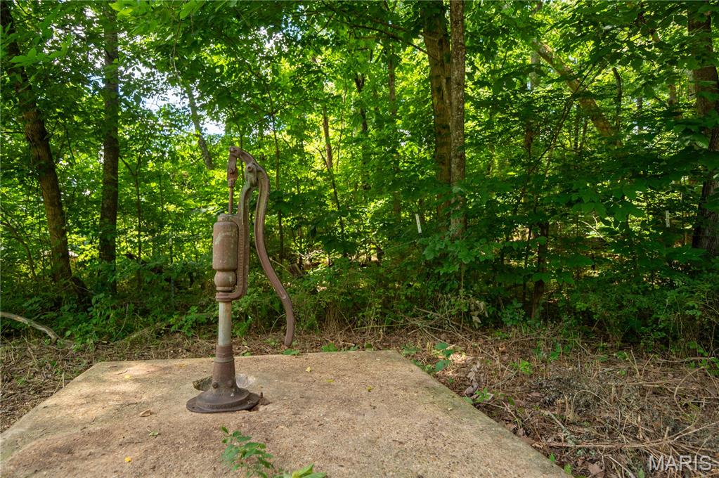 0 State Highway Mill Spring, MO 63952 - Photo 46 of 60