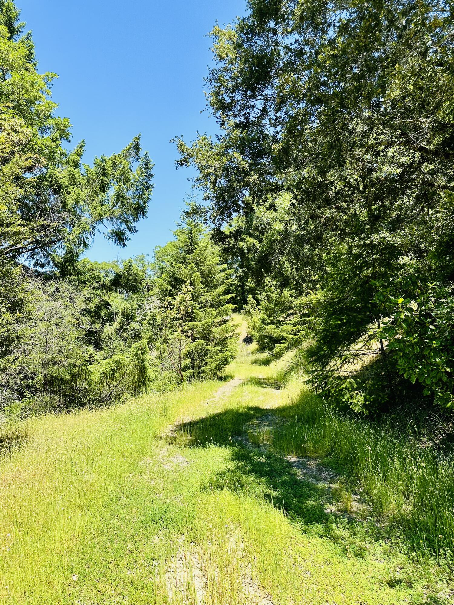 400 Seely Creek Road Redway, CA 95560 - Photo 45 of 73