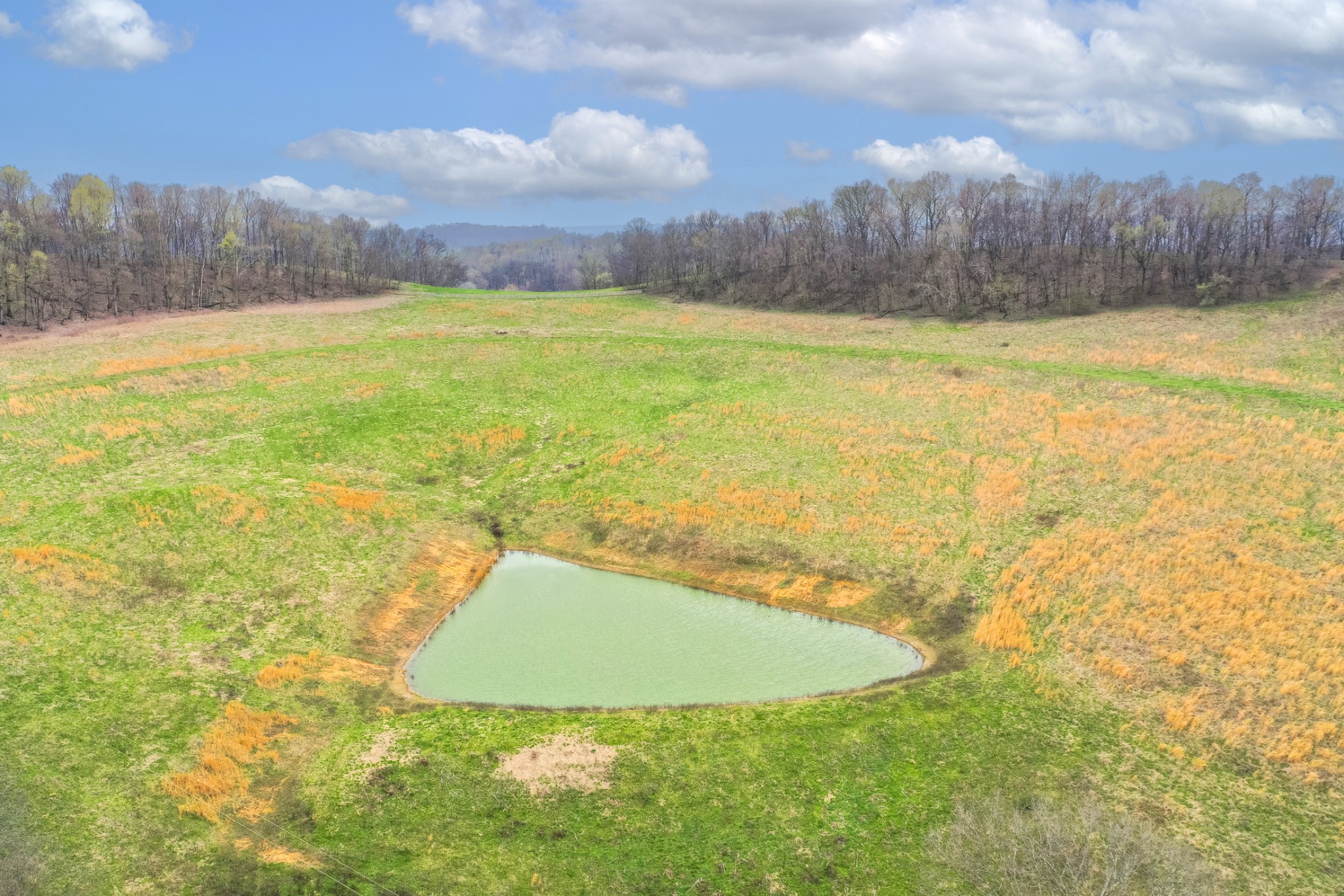 3116 Morel Road Columbia, TN 38401 - Photo 20 of 27 Gallery Image 20