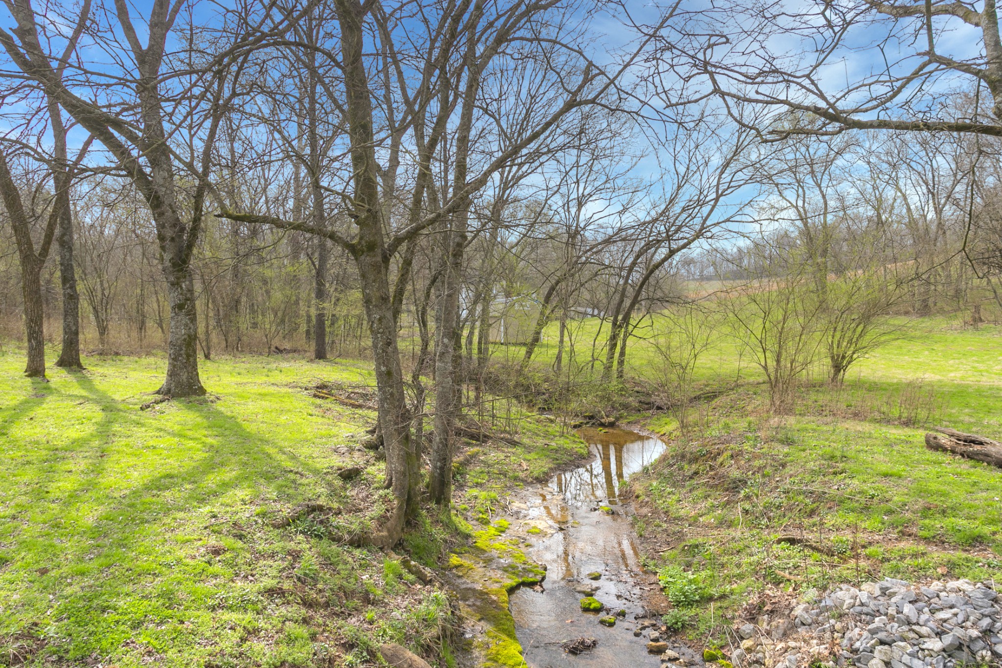 3116 Morel Road Columbia, TN 38401 - Photo 3 of 27 Gallery Image 3