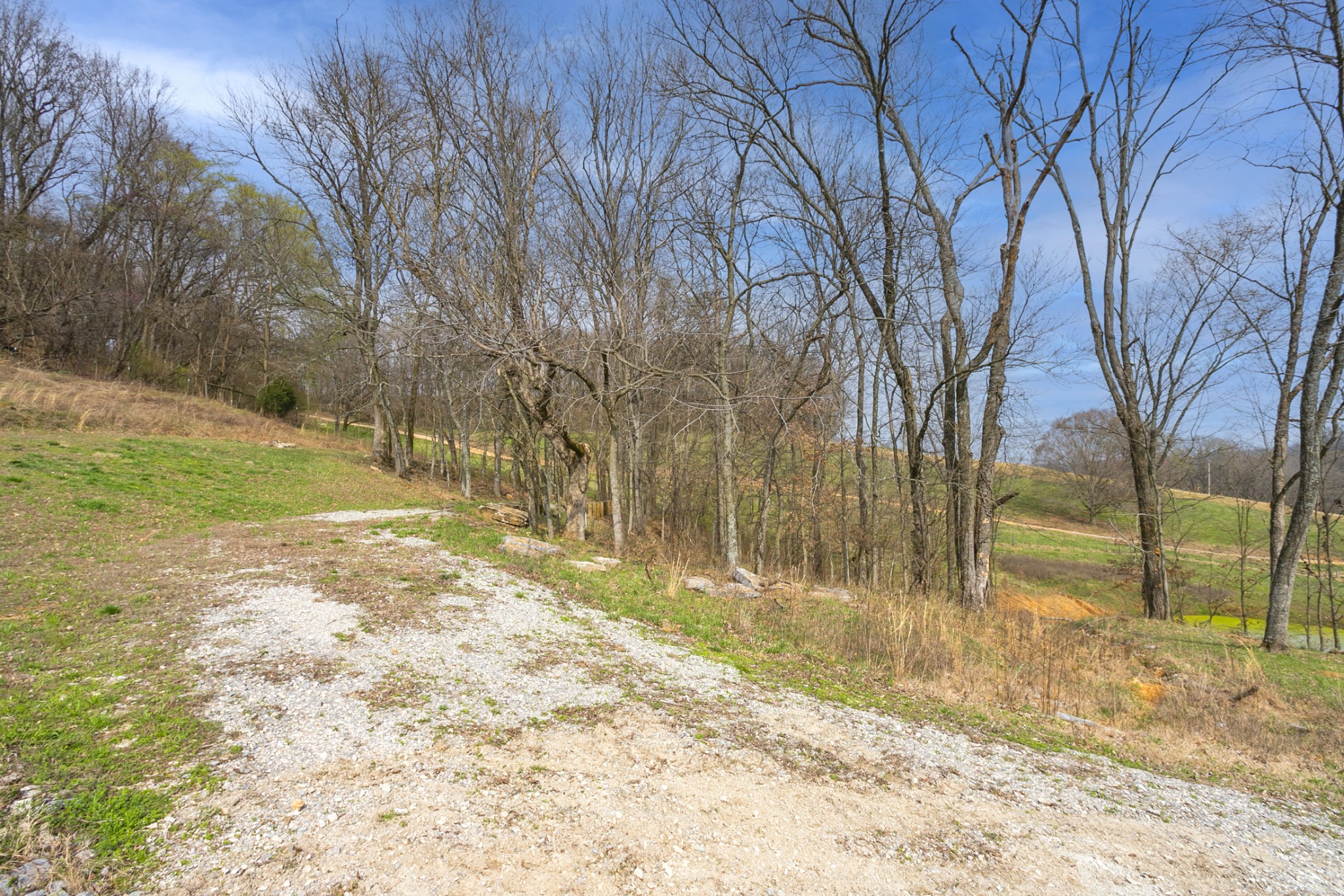 3116 Morel Road Columbia, TN 38401 - Photo 6 of 27 Gallery Image 6