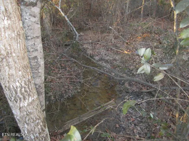 $949,900 | 430 Basswood Lane, Kodak, TN 37764