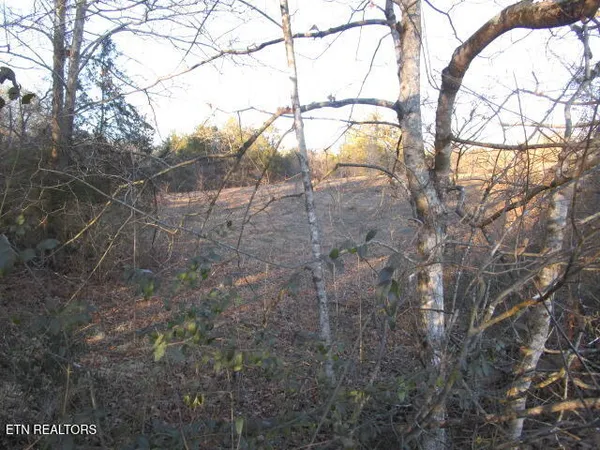 $949,900 | 430 Basswood Lane, Kodak, TN 37764