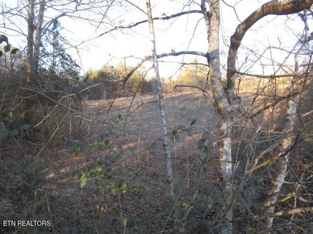 $949,900 | 430 Basswood Lane, Kodak, TN 37764