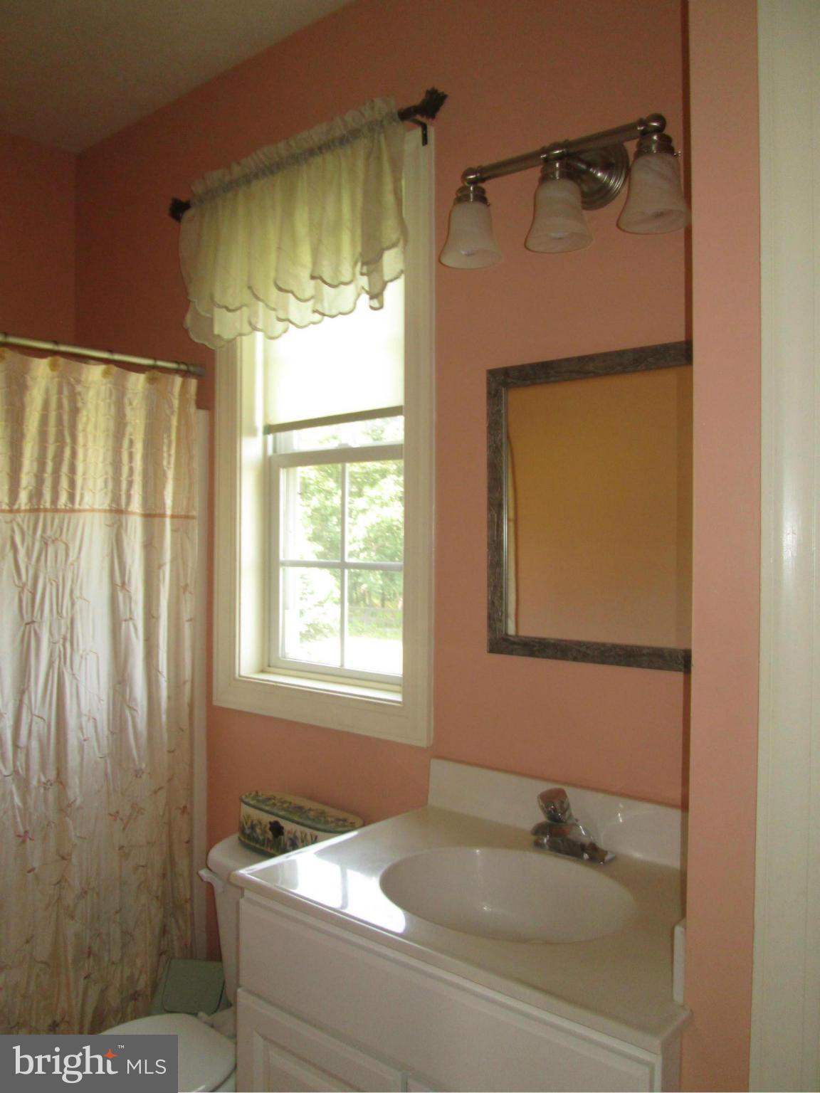 1455 Redbud Road Winchester, VA 22603 - Photo 12 of 28 Bath (Master)