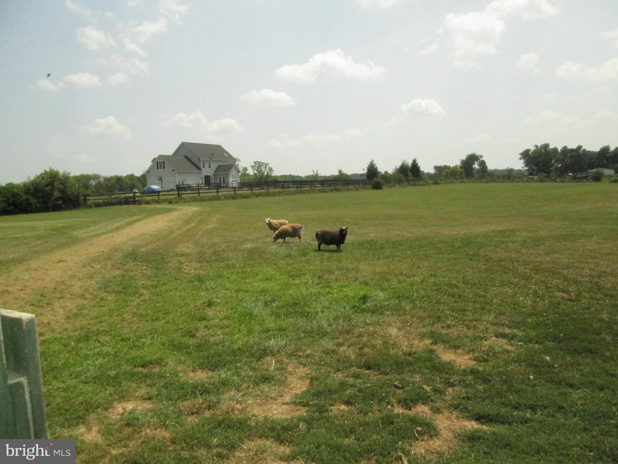 1455 Redbud Road Winchester, VA 22603 - Photo 23 of 28 View