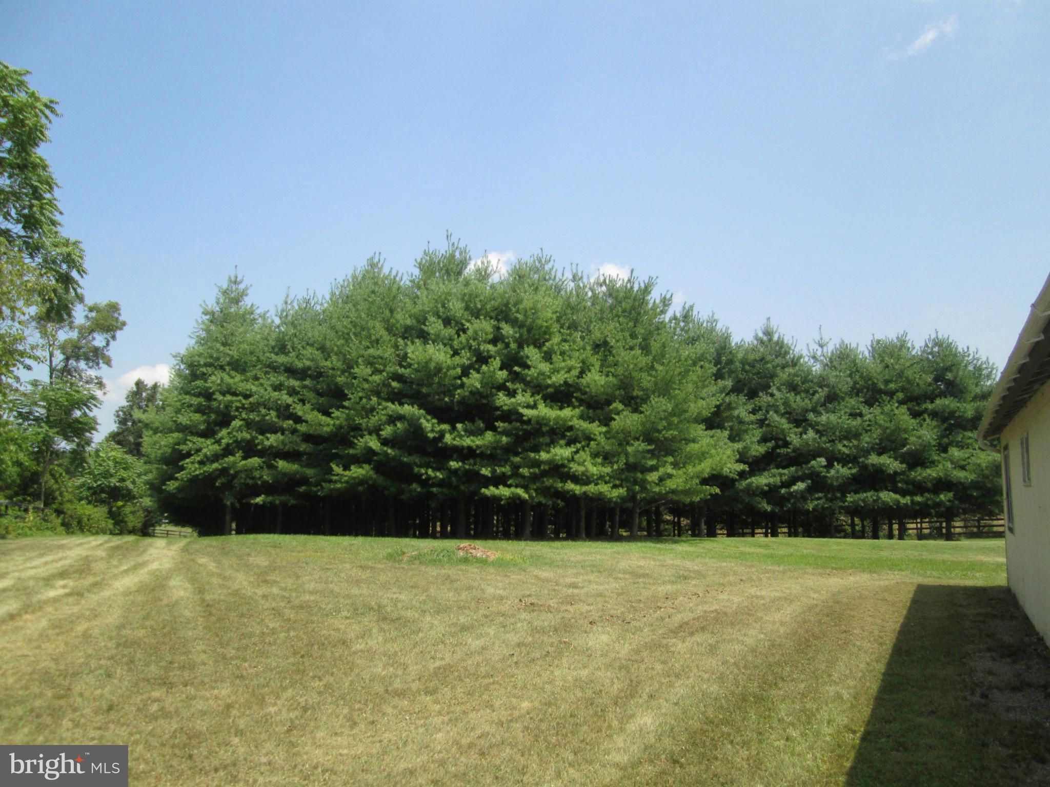 1455 Redbud Road Winchester, VA 22603 - Photo 24 of 28 View