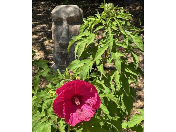 $775,000 | 4052-4054 Indian Peak Road, Mariposa, CA 95338