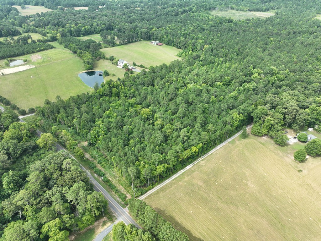 Lot 12 Mt Pleasant Road Cohutta, GA 30710 - Photo 7 of 8 Gallery Image 7