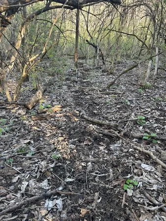 $147,000 | 0 Henschen Road, Aurora, IN 47001