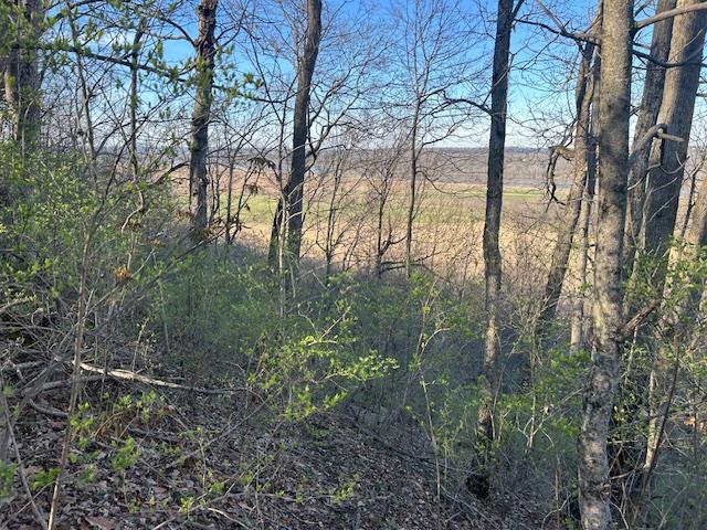 0 Henschen Road Aurora, IN 47001 - Photo 13 of 25