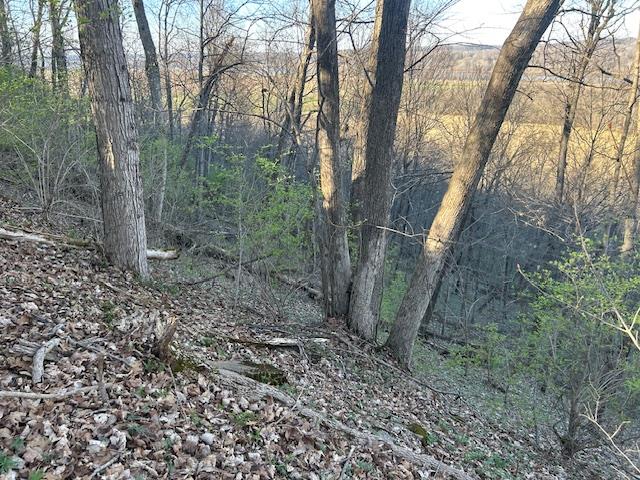 0 Henschen Road Aurora, IN 47001 - Photo 15 of 25