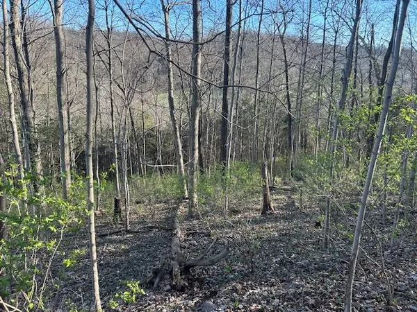 $147,000 | 0 Henschen Road, Aurora, IN 47001