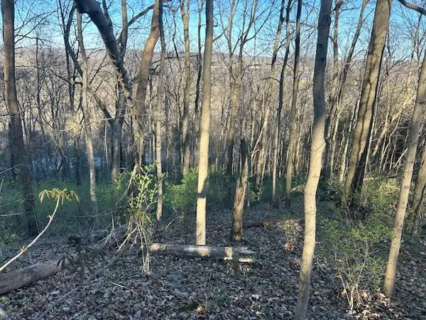 $147,000 | 0 Henschen Road, Aurora, IN 47001