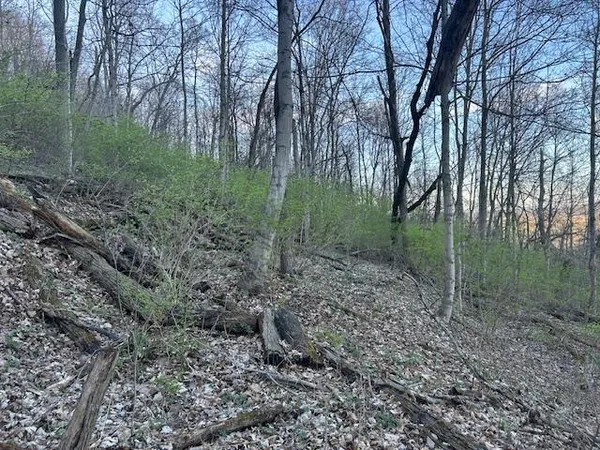 $147,000 | 0 Henschen Road, Aurora, IN 47001
