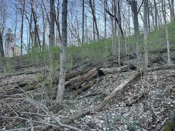 $147,000 | 0 Henschen Road, Aurora, IN 47001