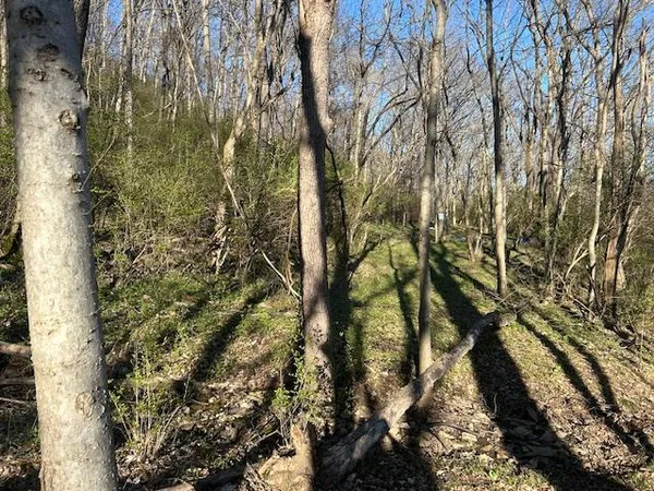 $147,000 | 0 Henschen Road, Aurora, IN 47001