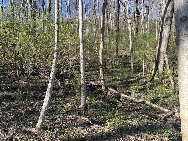 $147,000 | 0 Henschen Road, Aurora, IN 47001