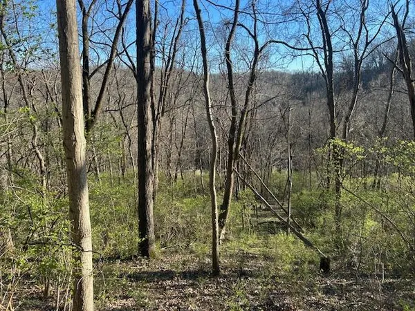 $147,000 | 0 Henschen Road, Aurora, IN 47001