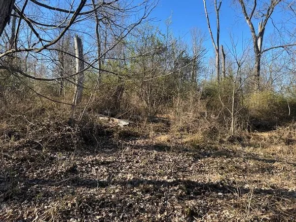 $147,000 | 0 Henschen Road, Aurora, IN 47001