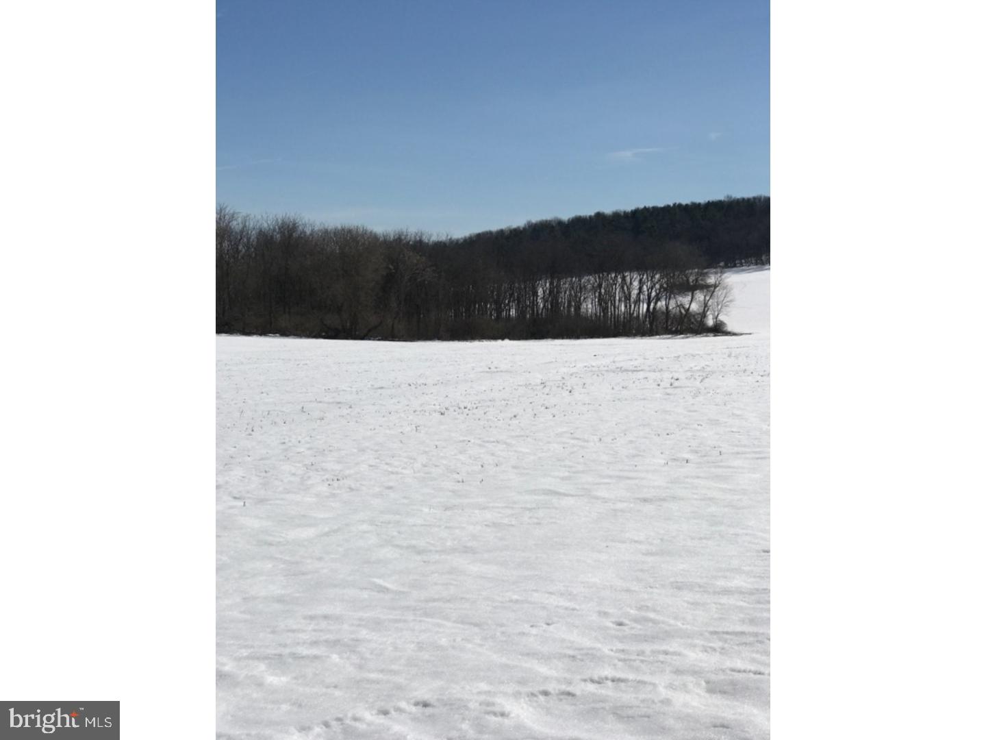 Lot 2 Paper Mill Road Sinking Spring, PA 19608 - Photo 6 of 9