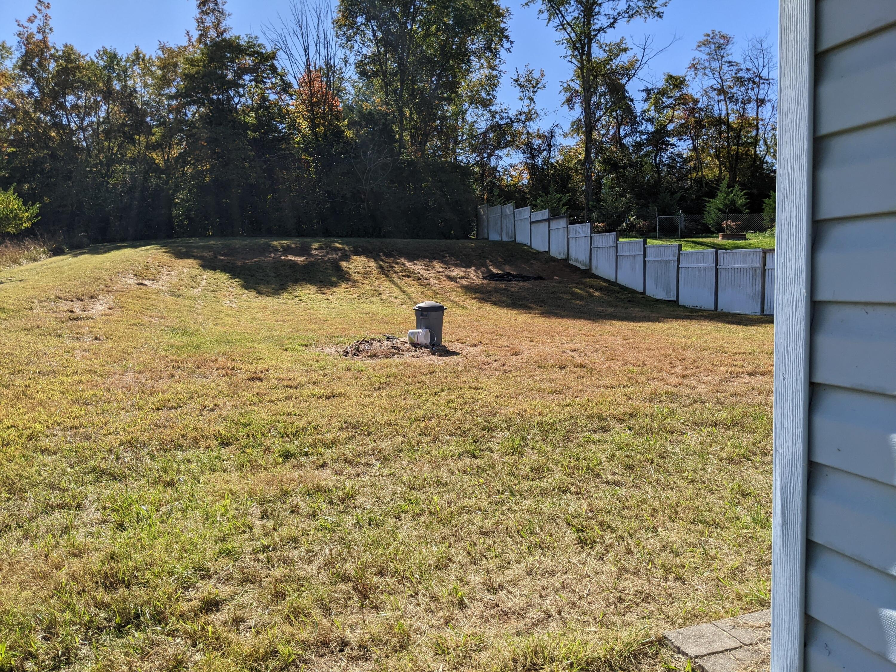 1948 Snapps Ferry Road Greeneville, TN 37745 - Photo 5 of 29 PXL_20221006_150247768