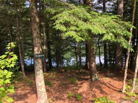 726 Sandy River Road Kents Hill, ME 04349 - Photo 49 of 69 Path to lake