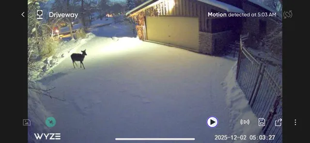 a kitchen with stainless steel appliances granite countertop a stove and a refrigerator