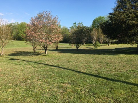 97 North Howard Fitch Road Kelso, TN 37348 - Photo 12 of 30 a view of a yard