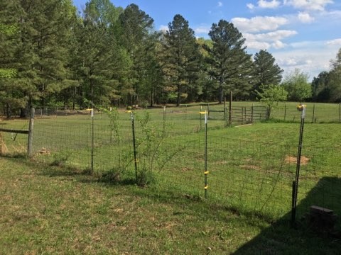 97 North Howard Fitch Road Kelso, TN 37348 - Photo 15 of 30 a view of a backyard