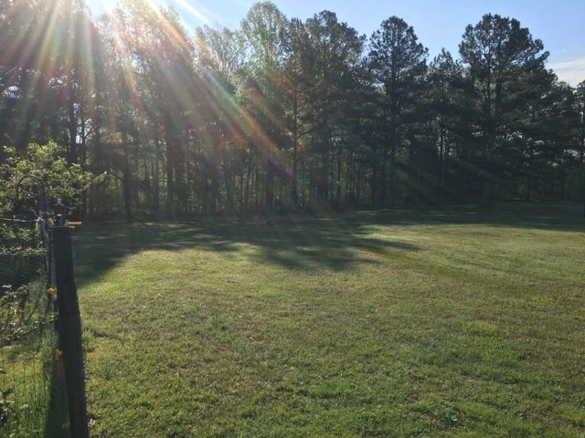 97 North Howard Fitch Road Kelso, TN 37348 - Photo 8 of 30 a view of a outdoor space