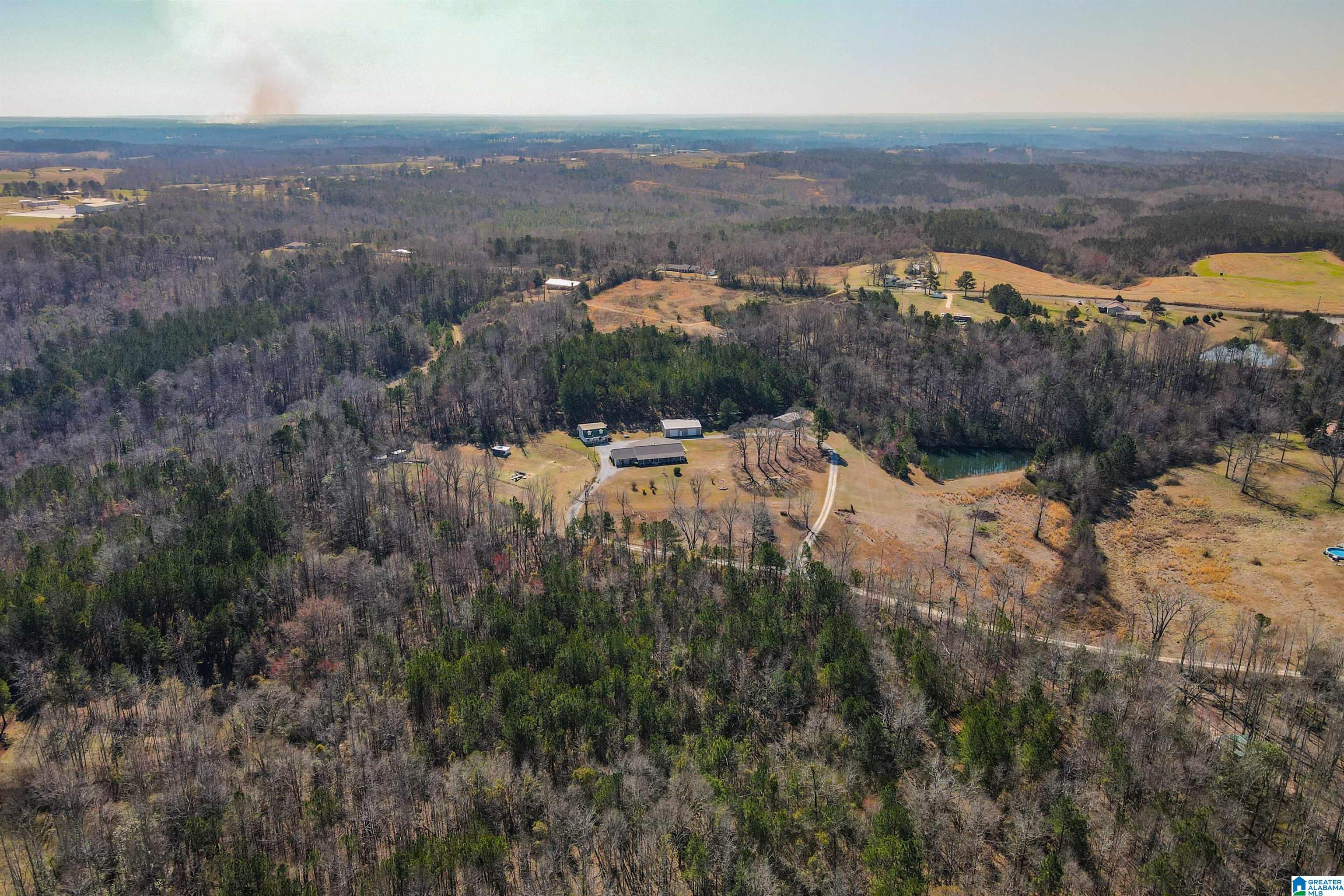 3631 County Road 69 Clanton, AL 35045 - Photo 7 of 50
