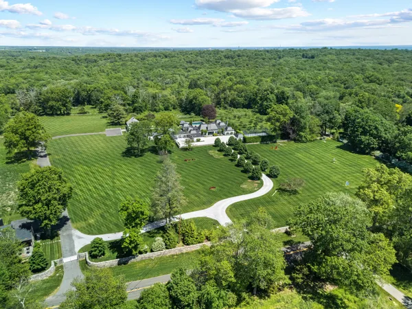 a view of a green yard with large trees