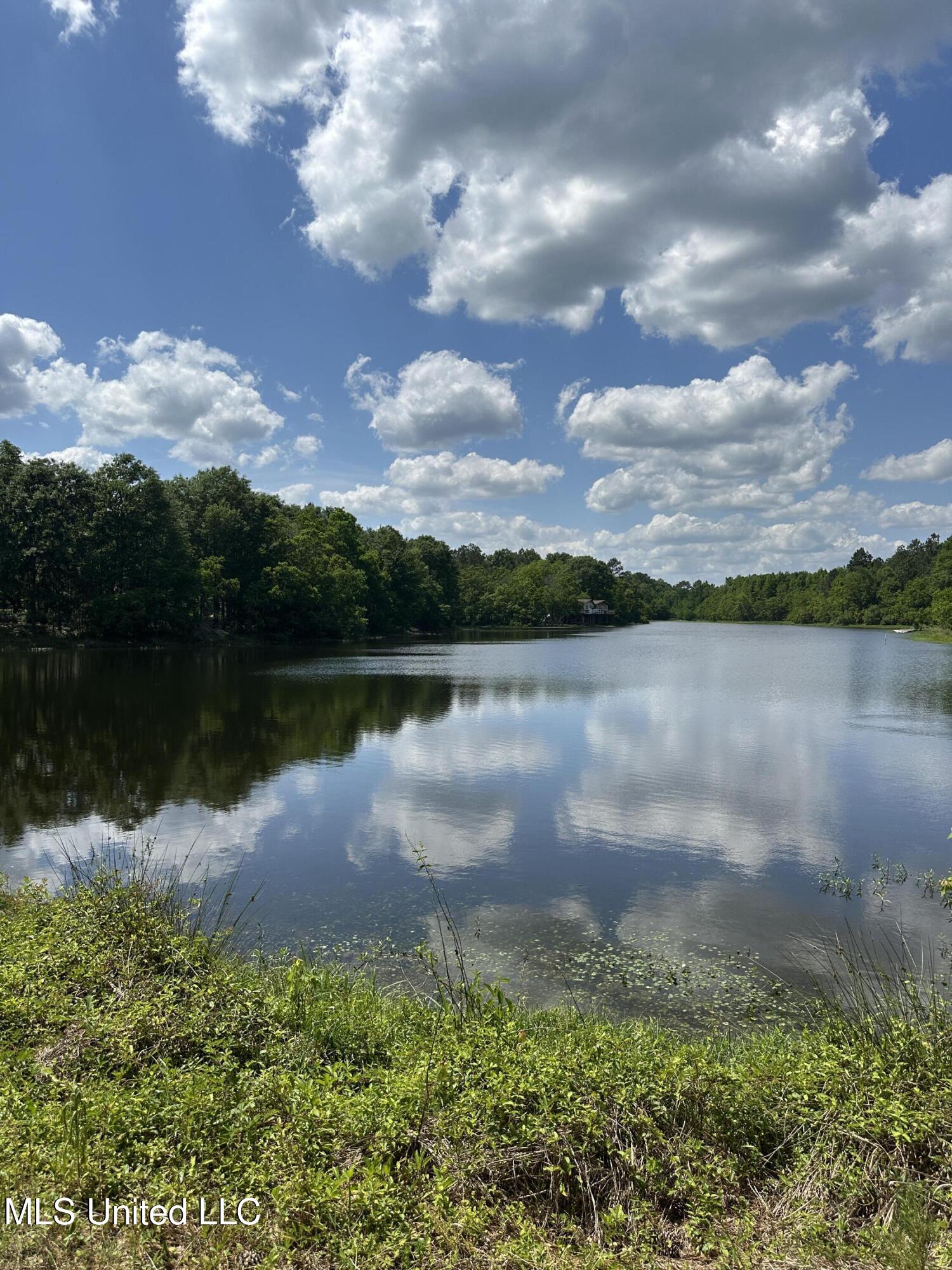 0 Bisbee Drive Lumberton, MS 39455 - Photo 5 of 7 IMG_1931