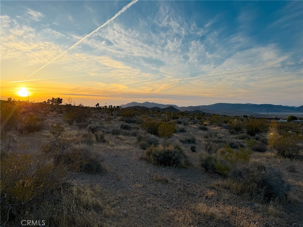 a view of a dry yard with mountains in the background