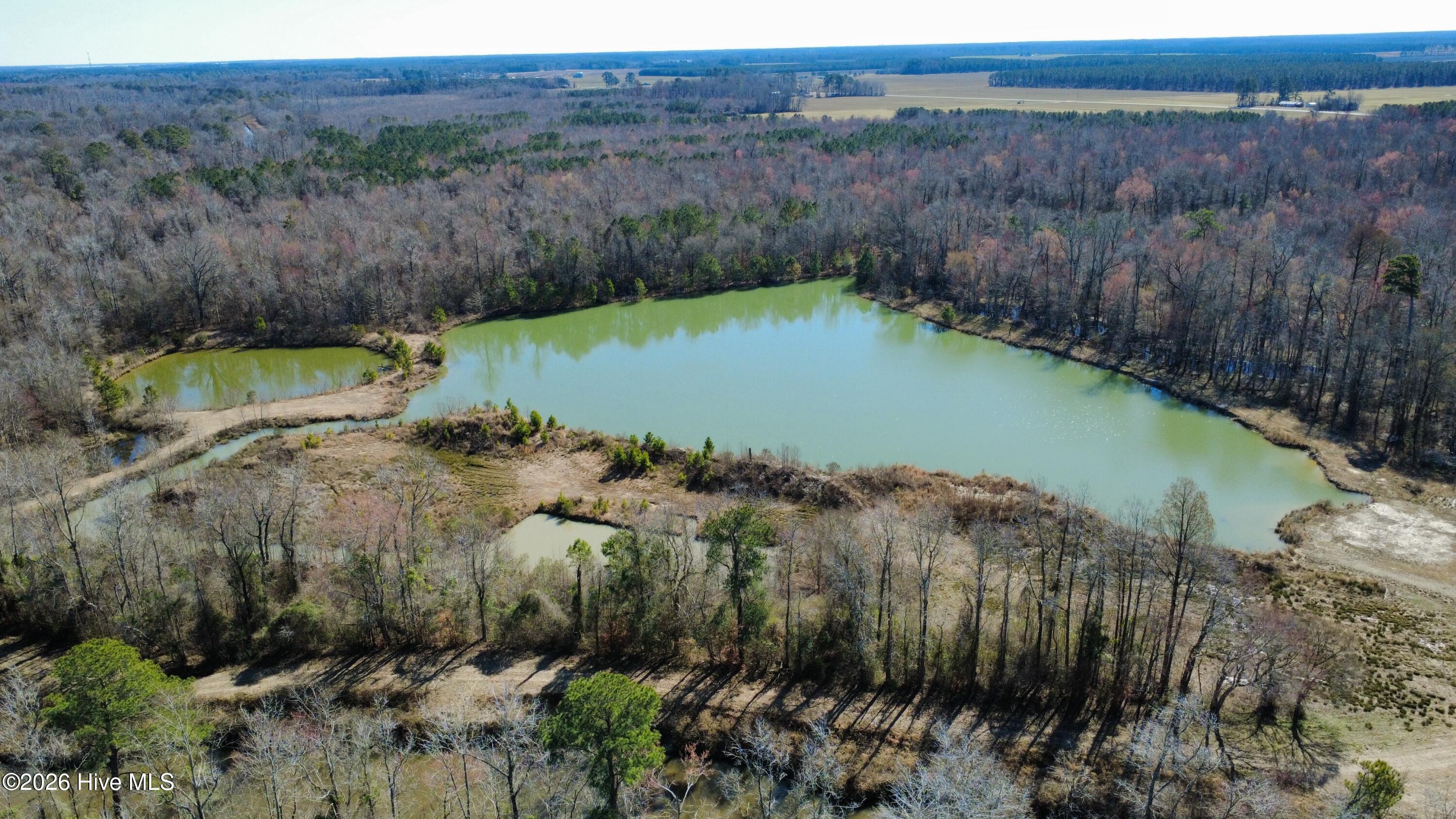 0 Jones Bridge Road Pinetown, NC 27865 - Photo 4 of 9 dji_fly_20250218_110622_144_173990057904