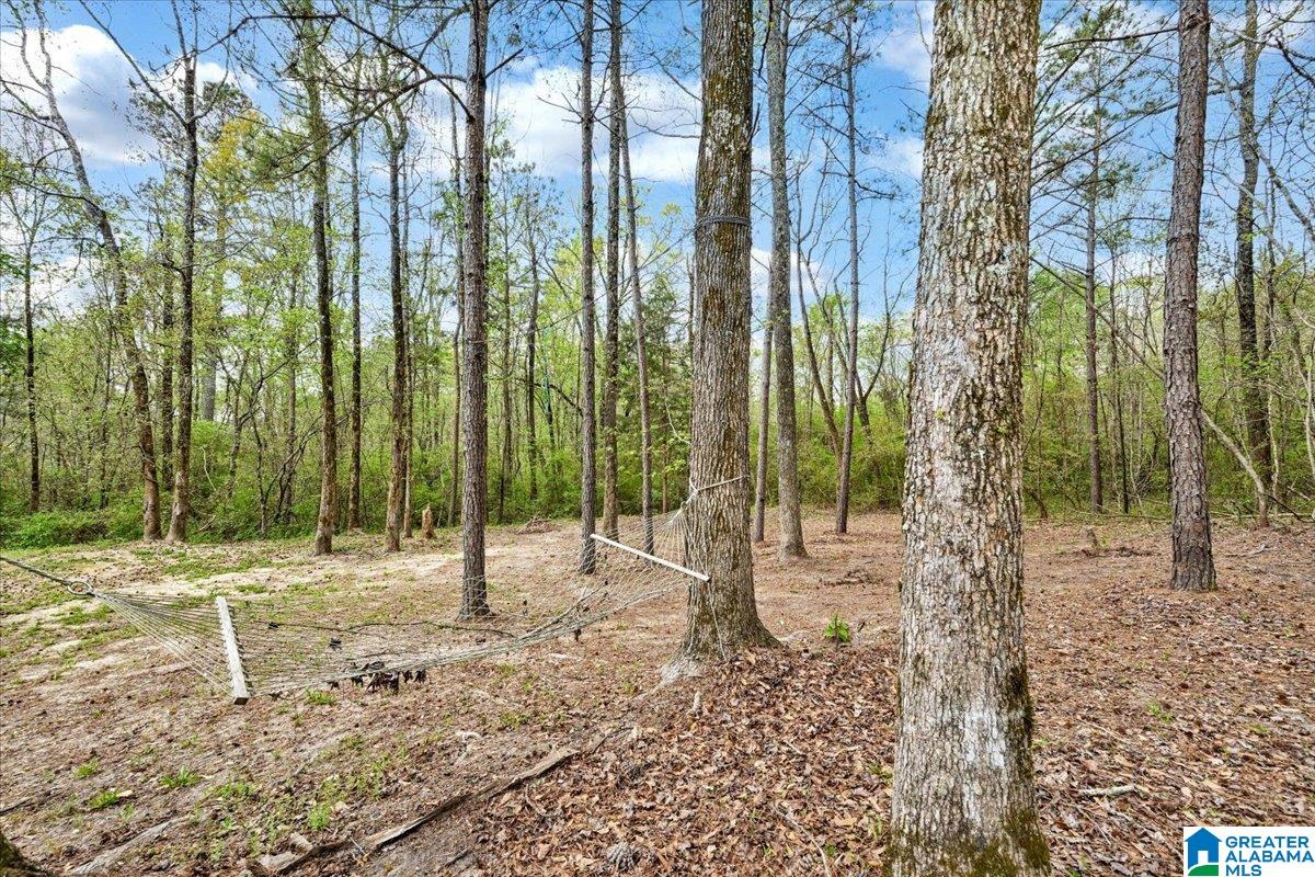 3349 White Road Dora, AL 35062 - Photo 27 of 29