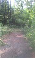 0 North Corinth Road North Portland, TN 37148 - Photo 1 of 3