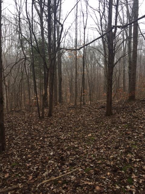 0 North Corinth Road North Portland, TN 37148 - Photo 2 of 3