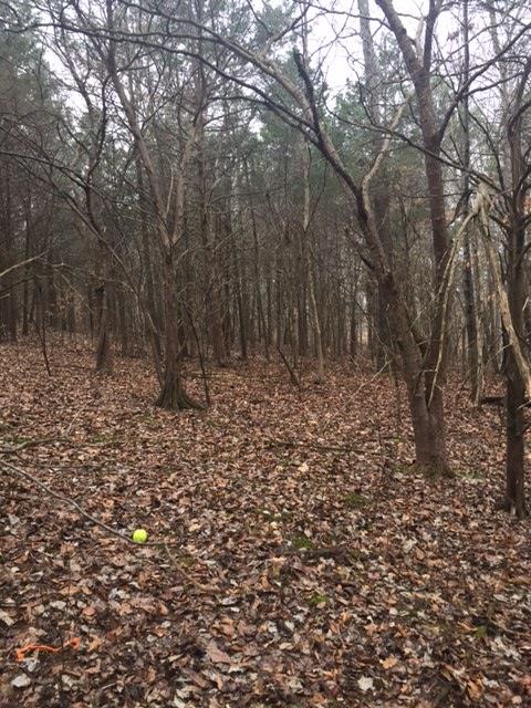 0 North Corinth Road North Portland, TN 37148 - Photo 3 of 3